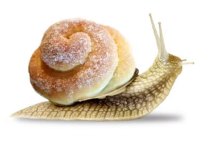Ensaïmada Snail