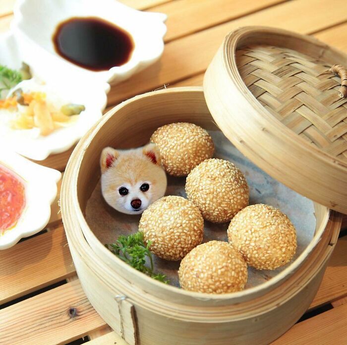 Firstly, Fried Sesame Ball Puppy