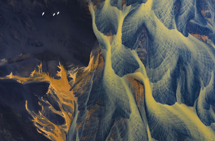 Aerial shot of three birds flying over a vibrant, textured landscape, showcasing Jose Manuel Grandío's stunning photography.