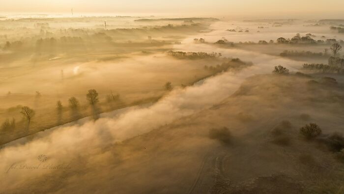 Magical Fog In My Area