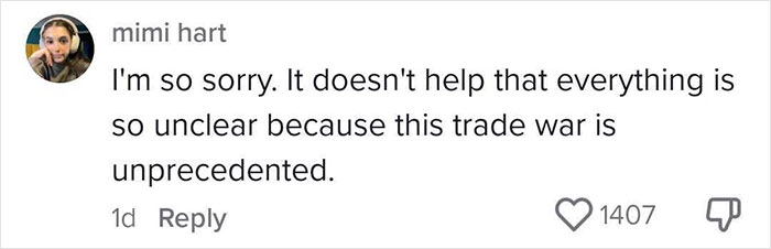 Comment expressing concern about the impact of new tariffs on a small business, mentioning unprecedented trade war.