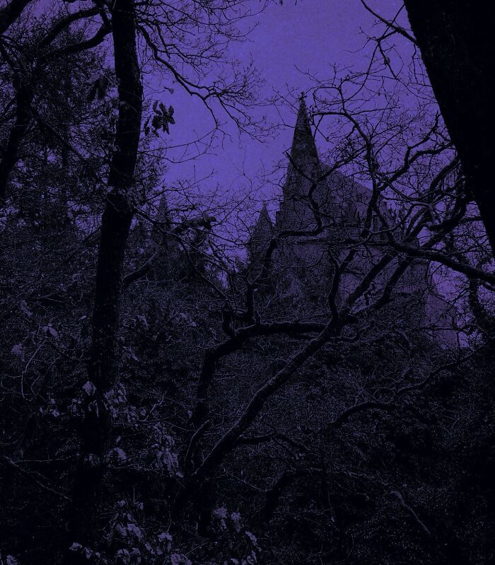 Dark escapism photography featuring silhouetted trees and a Gothic building against a purple sky.