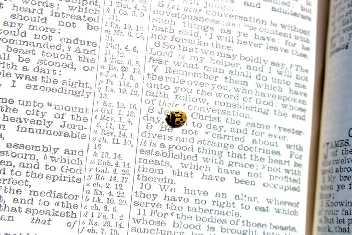 For Everything, A Reason