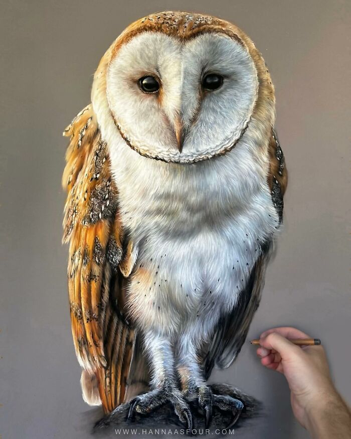 A hand drawing a realistic owl portrait with pencils, showcasing detailed feathers and lifelike texture.
