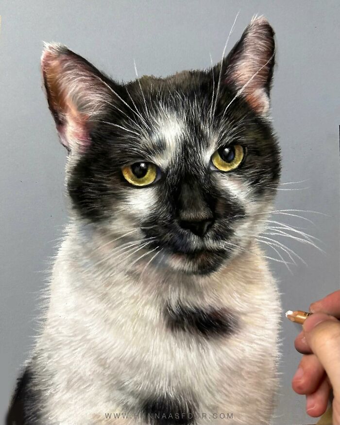 Realistic cat portrait drawn with pencils by Hanna Asfour, showcasing intricate details and lifelike features.