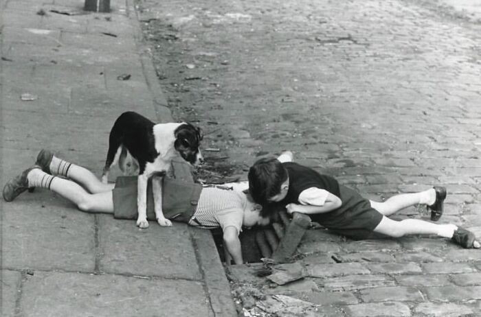 Two children and a dog in a black and white street photo captured on a cobblestone sidewalk looking into a drain.