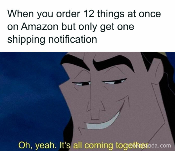 Literal meme about receiving one Amazon shipping notification for 12 items, featuring a smirking cartoon character.