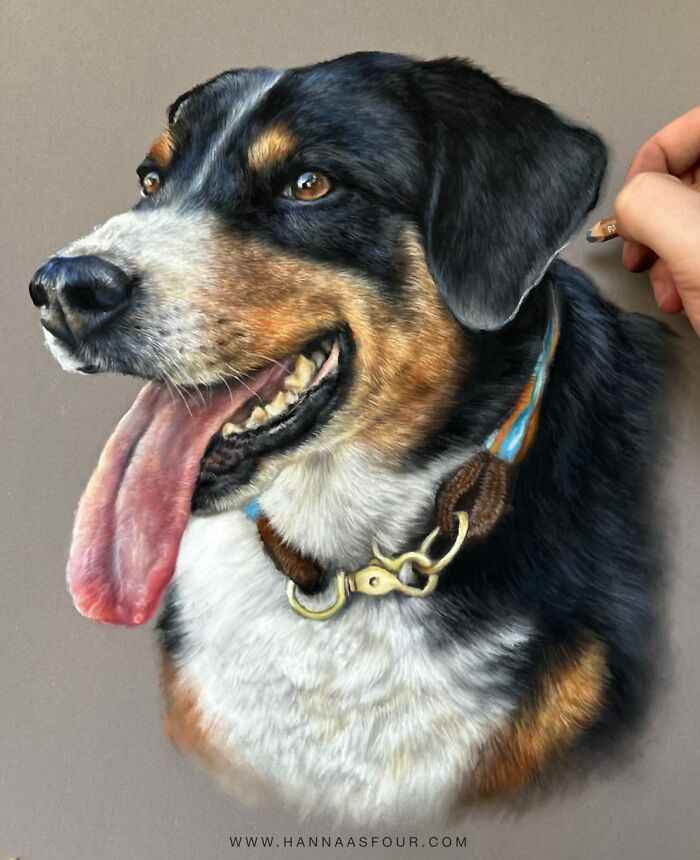 Realistic dog portrait drawn with pencils, showcasing detailed fur and expression.