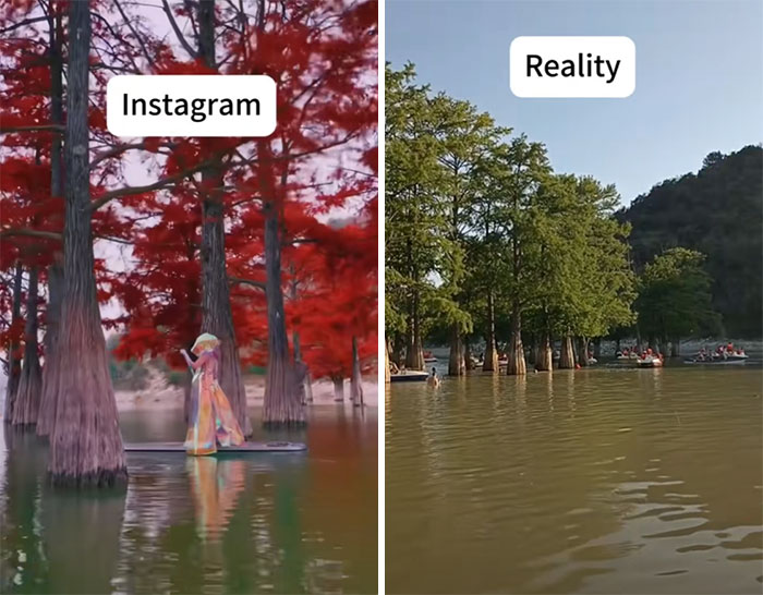Insta vs. Reality comparison of a forest scene showing edited vibrant colors vs. natural look.