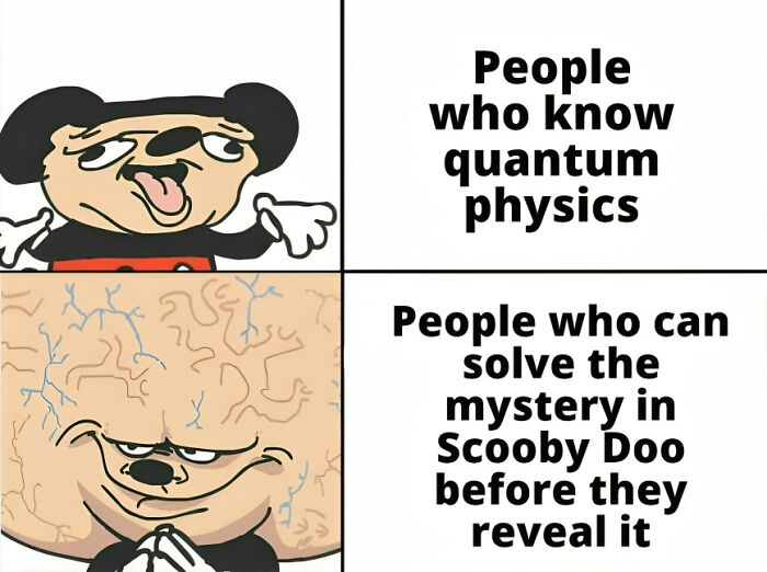 Funny physics meme comparing quantum physics experts to Scooby Doo mystery solvers with cartoon characters.