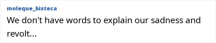 After A Year Of Cruelty As A Test Subject, This Dog Finally Knows What It Means to Be Loved