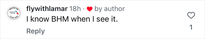 Comment by @flywithlamar on a social media post discussing an airline worker's speech after an 8-hour delay.