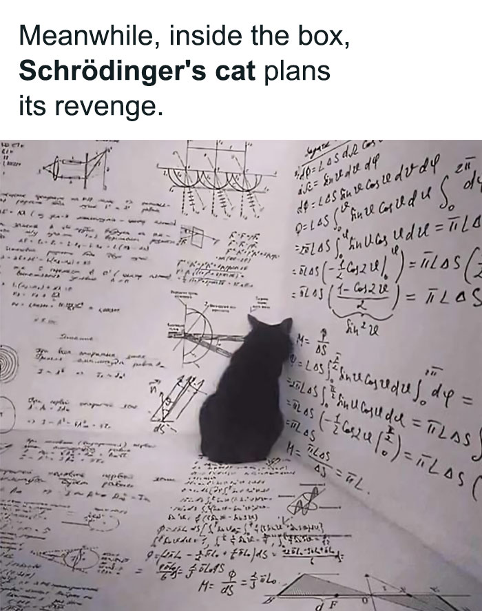 A cat surrounded by physics equations, referencing Schrödinger's cat with a humorous twist.