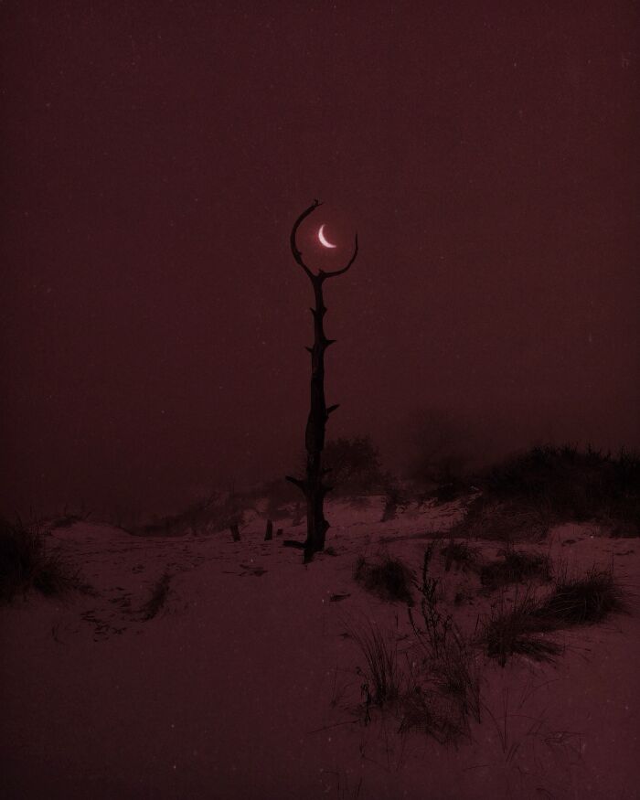 Dreamy dark photography of a barren tree with a crescent moon, creating an eerie landscape ambiance.