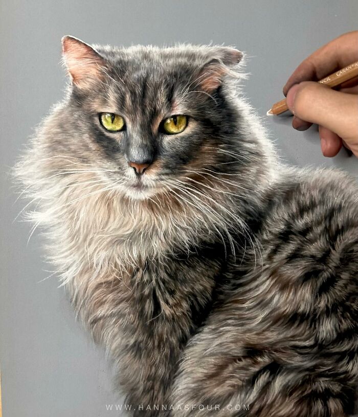 Artist draws a realistic cat portrait with pencils, showcasing intricate fur detail and vibrant eyes.