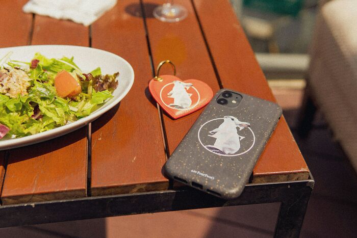 Smartphone and keychain with animal designs on a wooden table next to a salad, highlighting super normal thing country.