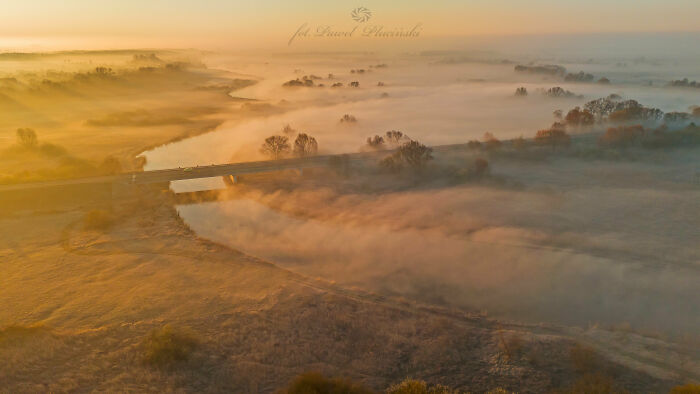 Magical Fog In My Area