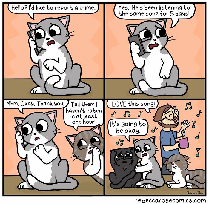 Cartoonist’s comic shows cats humorously handling awkward everyday moments with relatable and funny situations.
