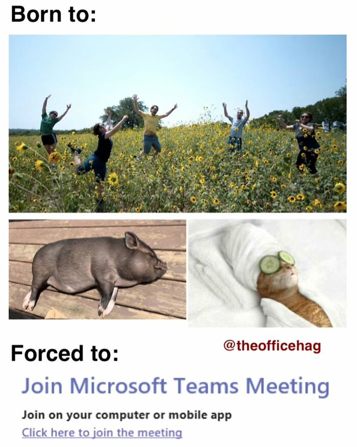 Employees enjoying life vs. a Microsoft Teams meeting reminder, showcasing work struggles with humor.