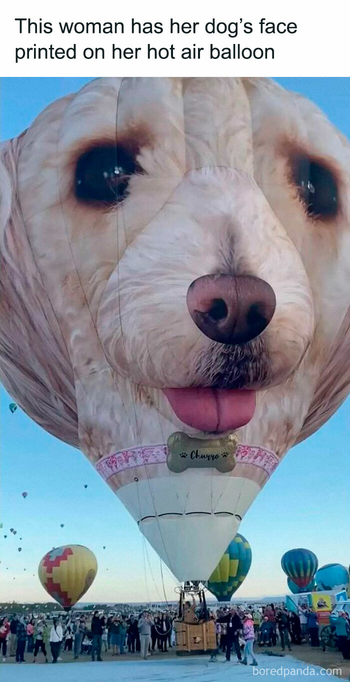 Hot air balloon with a dog's face printed on it, attracting a crowd at a festival.