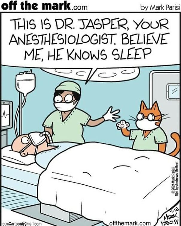Cartoon of a cat in a surgical mask assisting an anesthesiologist in a humorous hospital scene.