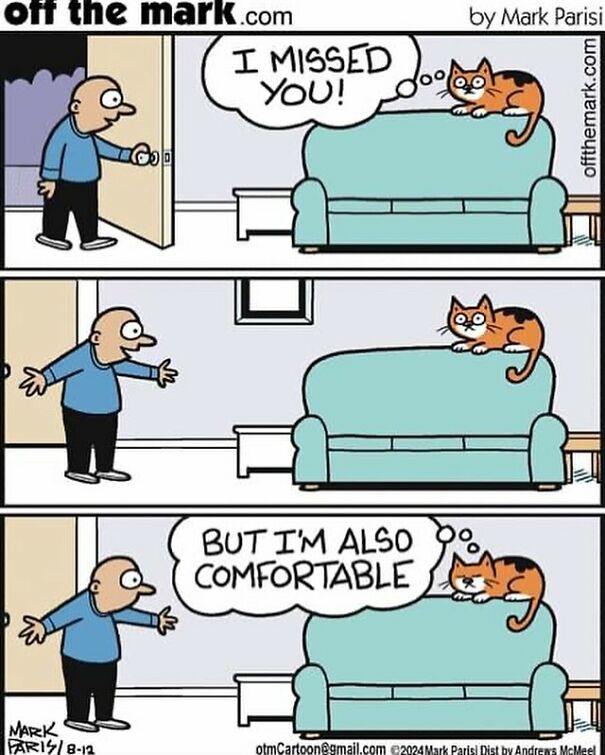 Cartoon of a cat lounging on a sofa, with a person expressing they missed the cat. Humorous take on life with a cat.
