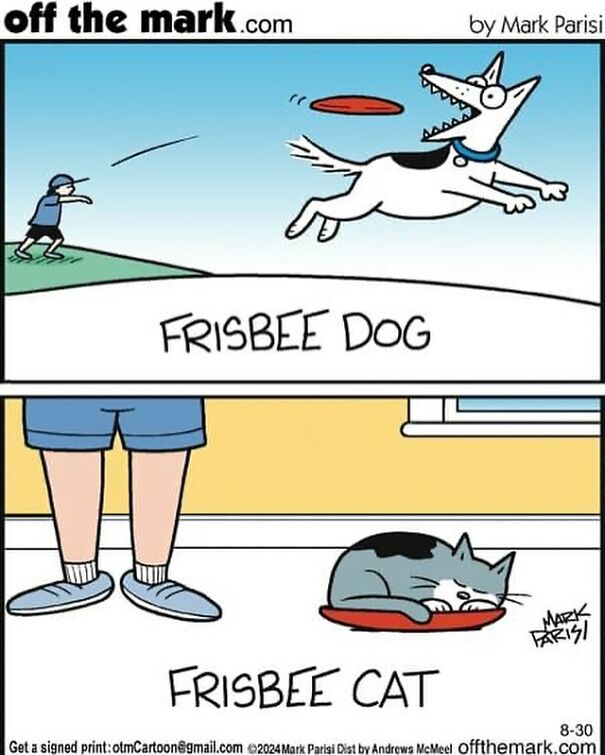 Cartoon showing a dog catching a frisbee and a cat lying on one. Humorous life depiction with a cat.