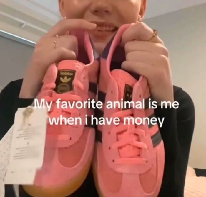 Person holding pink shoes with text overlay: "My favorite animal is me when I have money." Relatable meme humor.