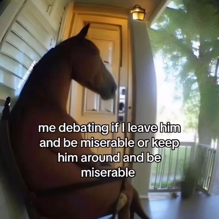 A horse sitting on a porch chair with text about debating a relationship, illustrating painfully relatable and funny memes.