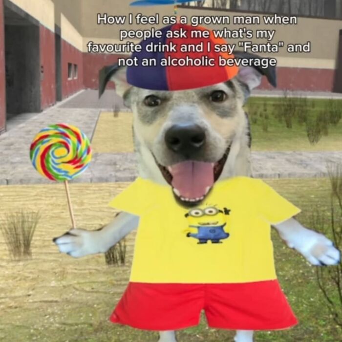 Dog dressed like a child holding a lollipop, humorously depicting a relatable meme about favorite drinks.
