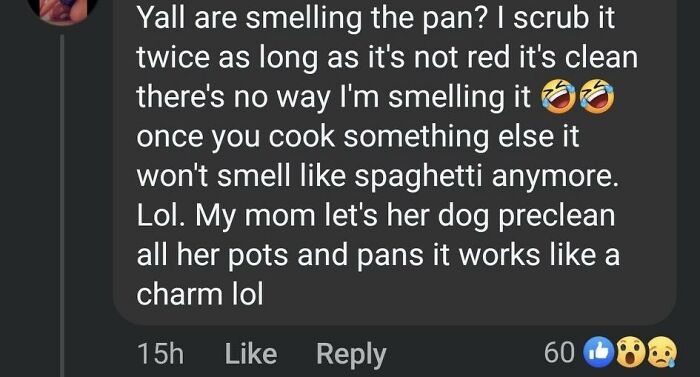 Funny comment about potlucks, discussing pan cleaning with dog assistance, including emoji reactions.
