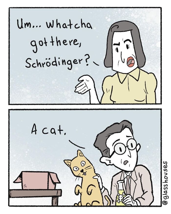 Comic strip with Schrödinger revealing a cat from a box, using dark humor and clever twist.
