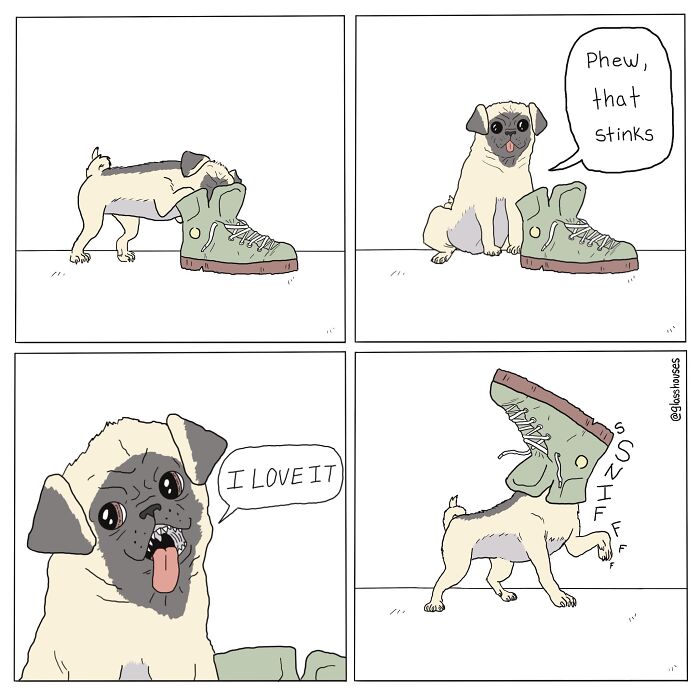Cartoon pug smelling a stinky shoe, loving the smell, a clever twist in Glasshouses Comics.