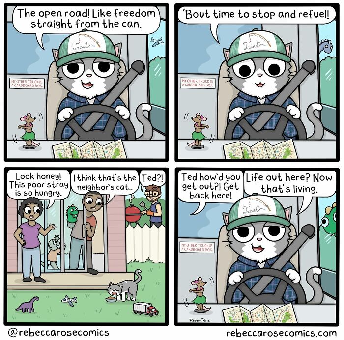 Cartoonist’s comic featuring a cat’s everyday awkwardness and humorous adventures in relatable comic art style.