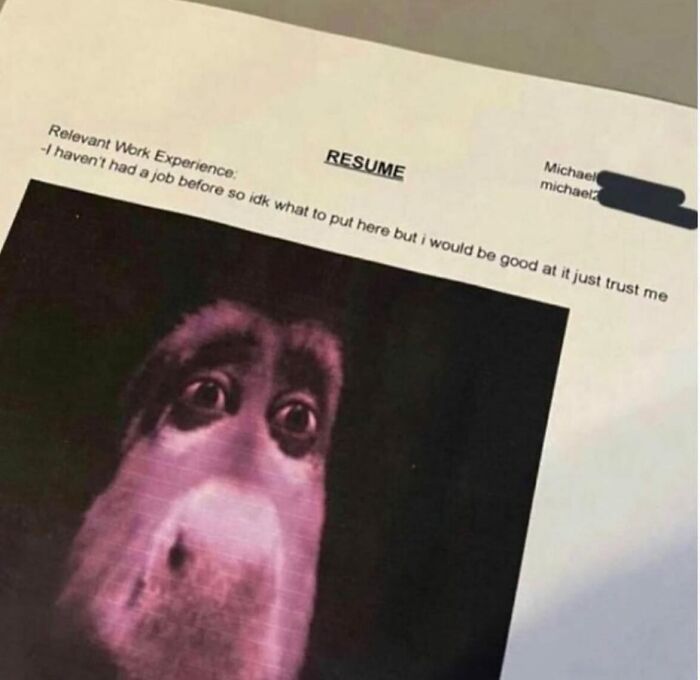 A humorous resume with a monkey image, from random Instagram accounts sharing funny content.
