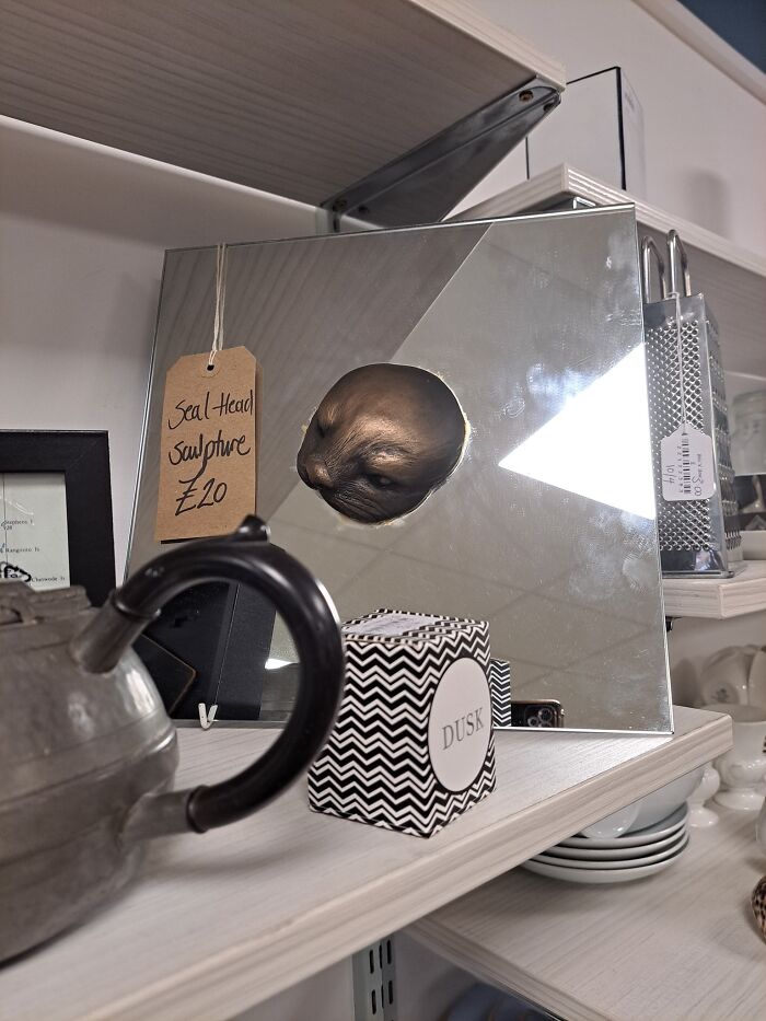Seal head sculpture poking through a mirror, displayed on a shelf with a price tag, in a secondhand shop.