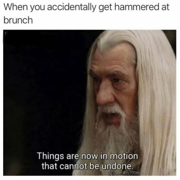 Man with long white hair and beard looking serious, captioned with a humorous meme from daily laughs to improve your day.
