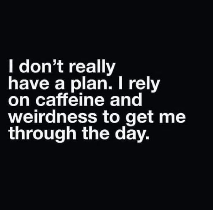 Text meme on a black background saying no plan just caffeine and weirdness to get through the day with daily laughs memes theme.