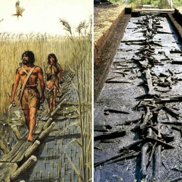 Reconstruction of ancient wooden bridge and excavated archaeological site showing preserved wooden remains in mud.