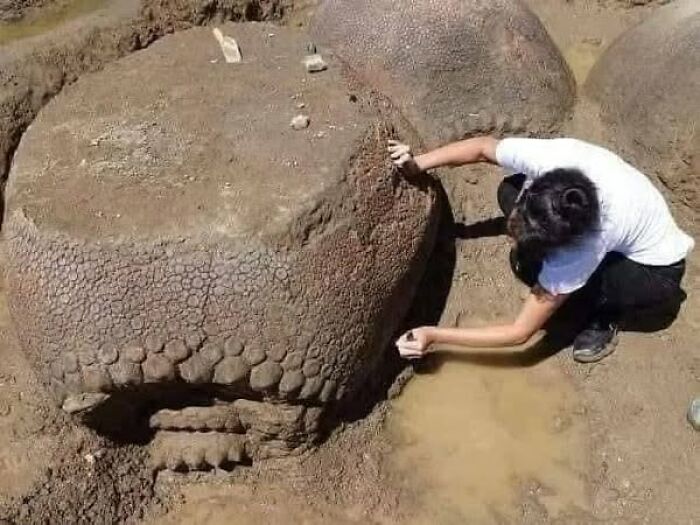 Woman carefully excavating a large ancient stone sculpture with intricate textures in an archaeology and architecture site.