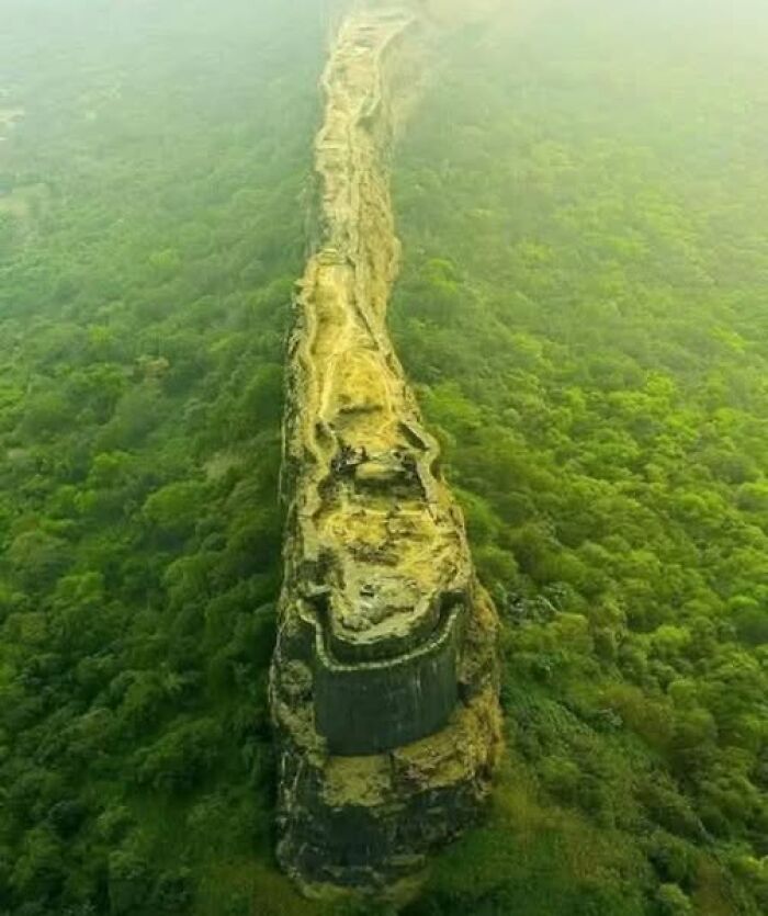 Aerial view of ancient stone ruins surrounded by dense green forest in archaeology news and architecture.
