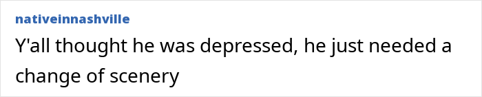 Screenshot of a comment saying, "Y'all thought he was depressed, he just needed a change of scenery.