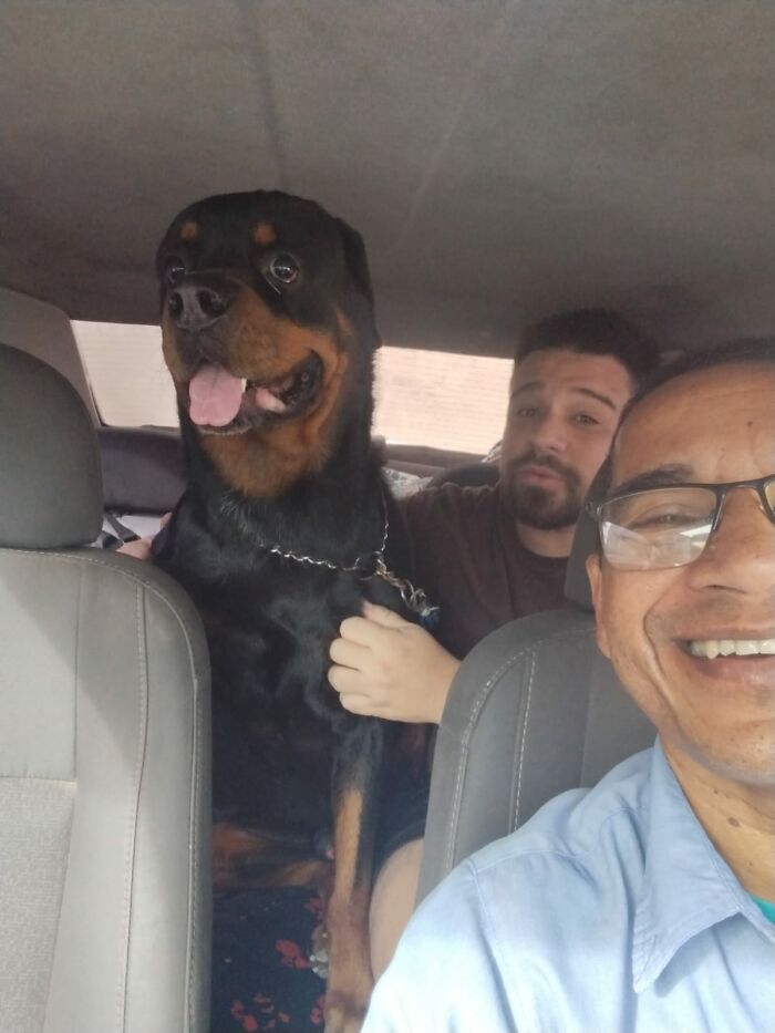 Man smiling in a pet taxi selfie with a large Rottweiler and another passenger in the backseat.