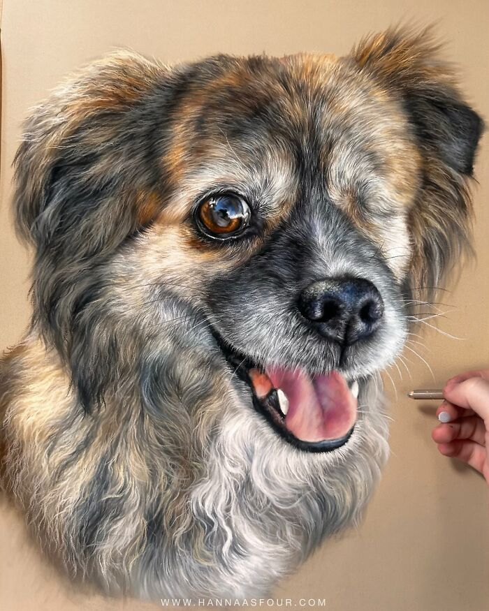 Realistic pet portrait of a one-eyed dog being created with pencils by an artist's hand.