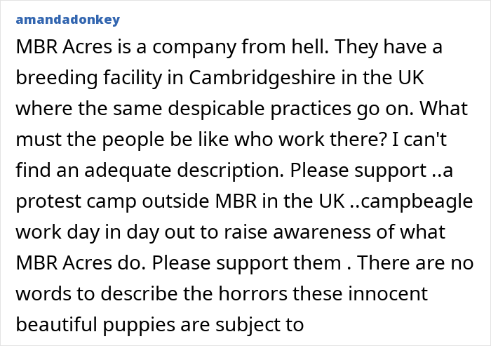 After A Year Of Cruelty As A Test Subject, This Dog Finally Knows What It Means to Be Loved