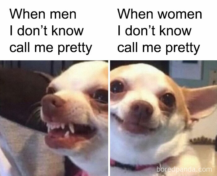 Chihuahua meme showing different reactions to men and women calling it pretty, exemplifying random humor.