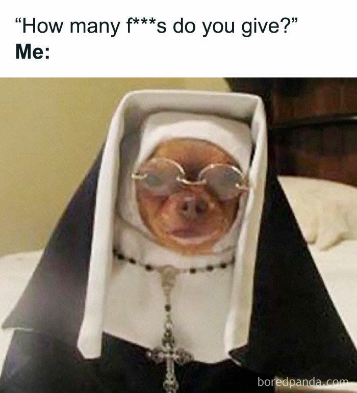 Dog dressed as a nun with sunglasses, embodying a funny meme full of randomness.