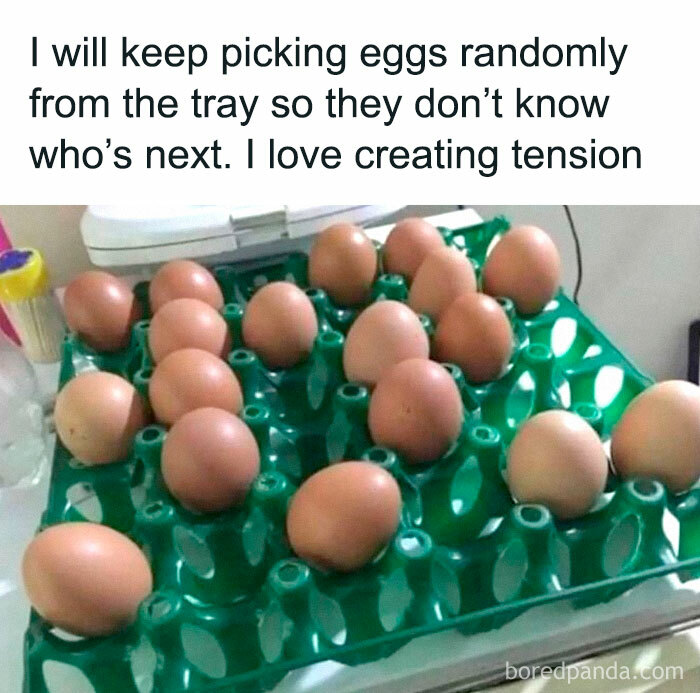 Eggs in a tray with a humorous caption about randomness, capturing the essence of a philosophy meme.