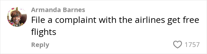 Airline complaint suggestion for free flights in response to disruptive passenger incident on a plane.