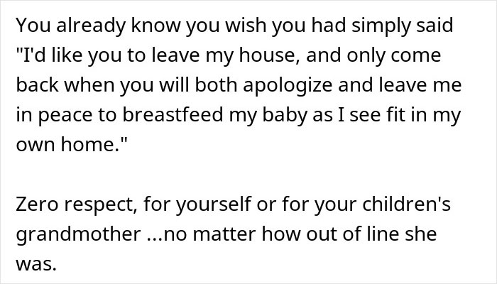 Text discussing a woman's response to rude comments about breastfeeding in her home.